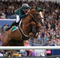 RDS announces cancellation of the 2020 Longines FEI Jumping Nations Cup™ Dublin Horse Show