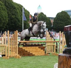 Dublin Horse Show 2022 - Further Development to Showing Classes and Competitions